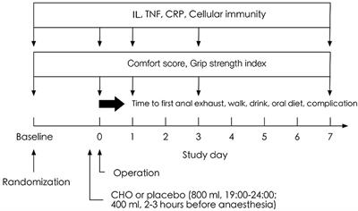 Effects of Preoperative Carbohydrate Intake on Inflammatory Markers and Clinical Outcomes in Elderly Patients Undergoing Radical Prostatectomy: A Single-Centre, Double-Blind Randomised Controlled Trial